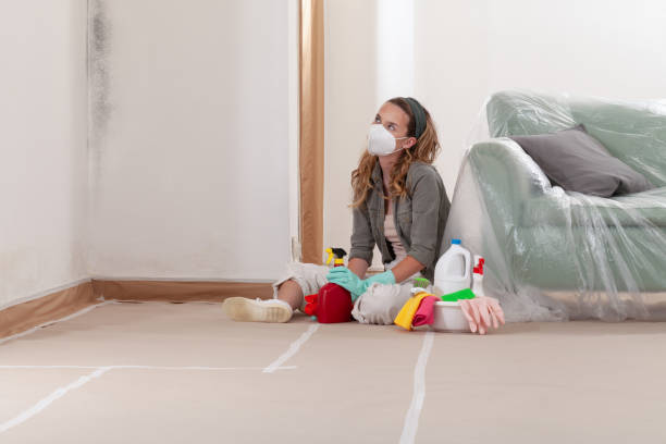 Reliable Mold Testing contractor in Vienna, VA by WQB Mold Removal